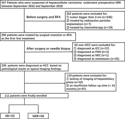 A Radiomics Nomogram for Preoperative Prediction of Early Recurrence of Small Hepatocellular Carcinoma After Surgical Resection or Radiofrequency Ablation